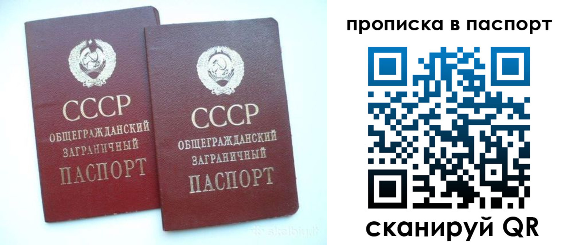 прописка законно в Лосино-Петровском